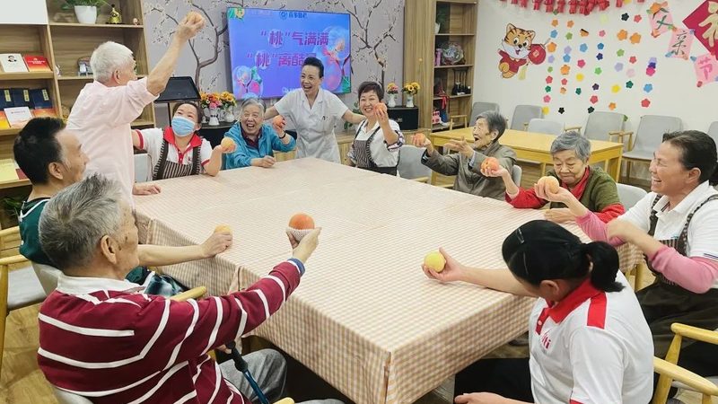 养老项目投资分析报告编写流程详解